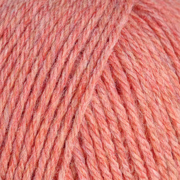 95110 Grapefruit