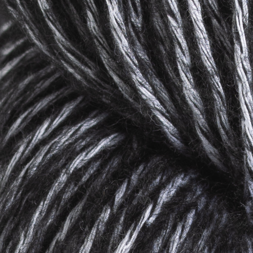 11708 Raven Wing