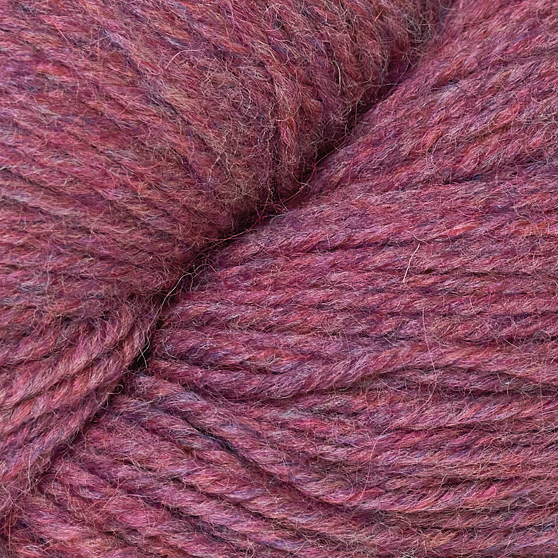 Ultra Alpaca - Online Exclusive