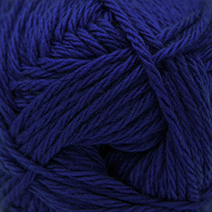 172 Blue Iris